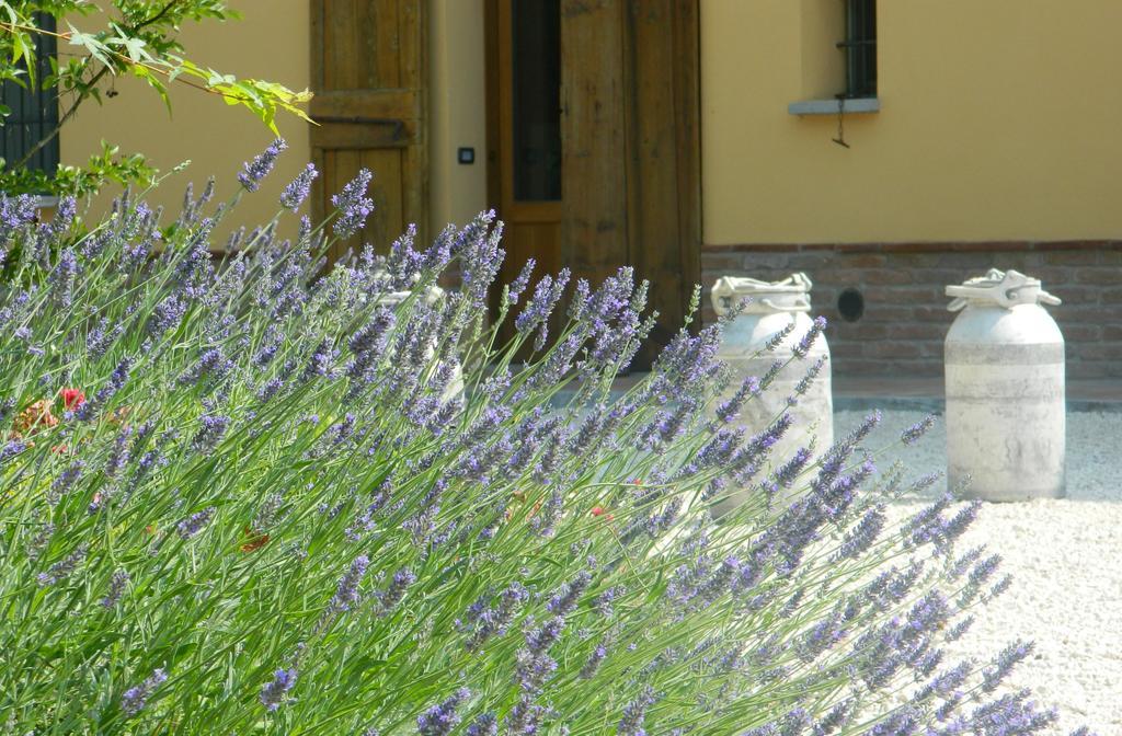 Agriturismo Cascina Pezzolo Lodi Exterior photo